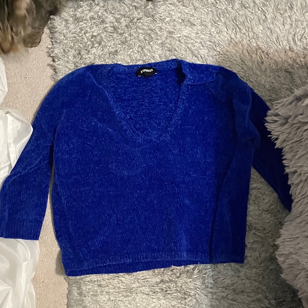 Express Women's Deep Blue V-Neck Sweater